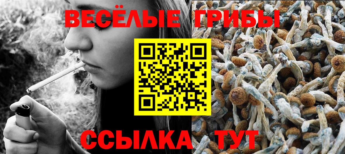Псилоцибиновые грибы ЛСД  Вход с VPN  Оренбург 