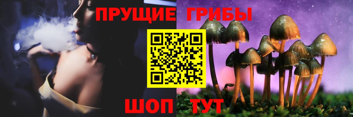 Псилоцибиновые грибы Psilocybine cubensis Оренбург